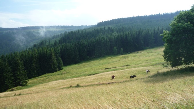 Pastviny na Valšovkách