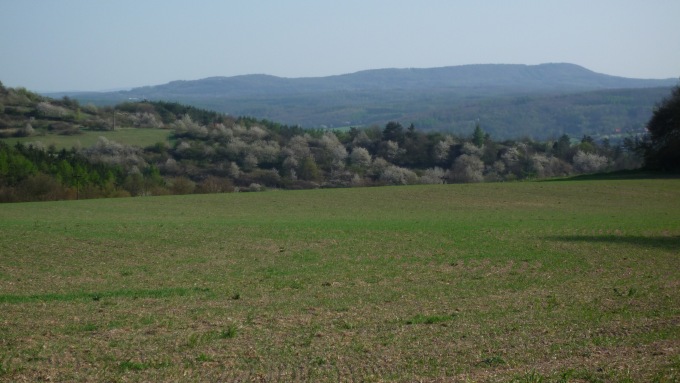 Výhled na Křivoklátsko