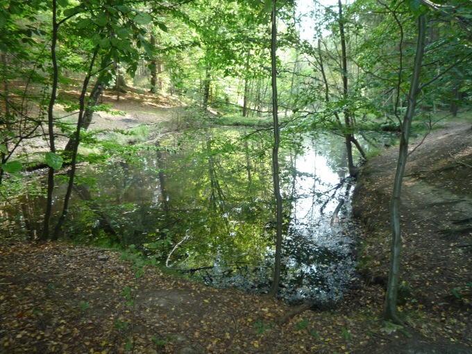 Bývalé lesní lázně Merkovka