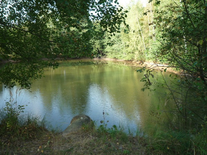 Rybníček Nad Hájovnou