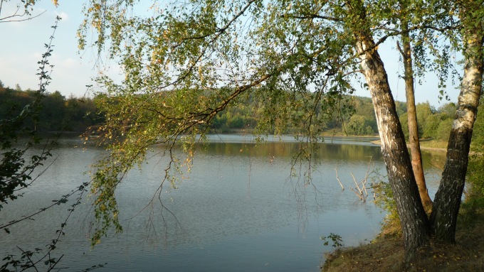 Bartoňský rybník