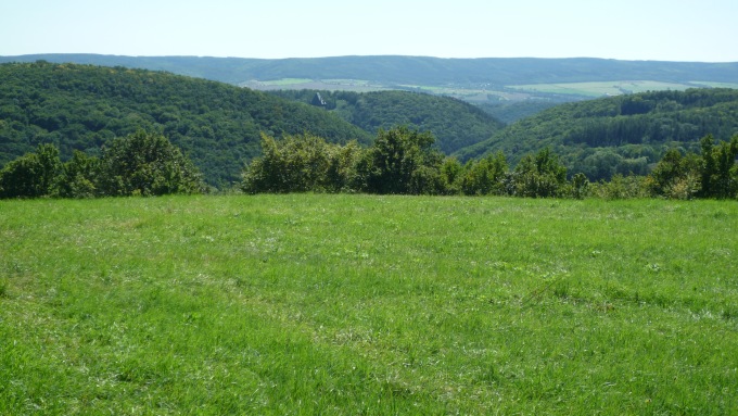 Pohled na Karlštejn a Hřebeny