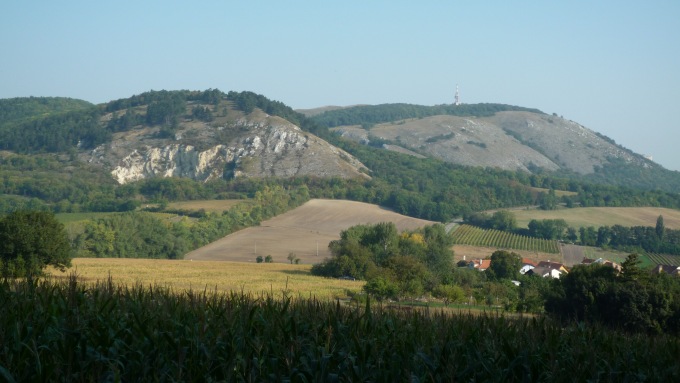 Děvín - nejvyšší vrchol Pavlovských vrchů (vpravo)