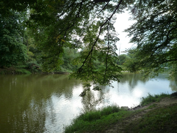 Sázava za Hvězdonicemi