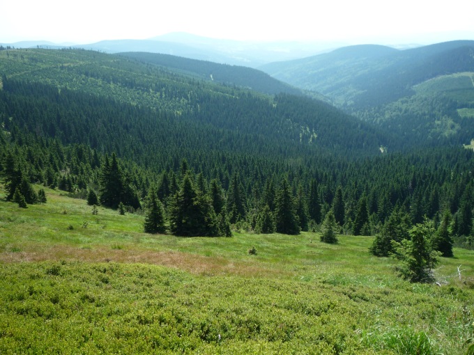 Pohled vlevo při sestupu na Dvoračky