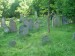 Starý židovský hřbitov (2)